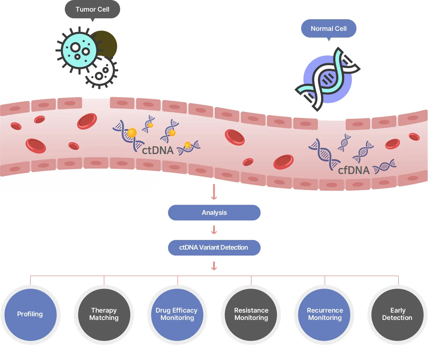 platform_tab01_img01_1