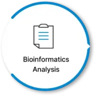 profiling_art01_con04_03